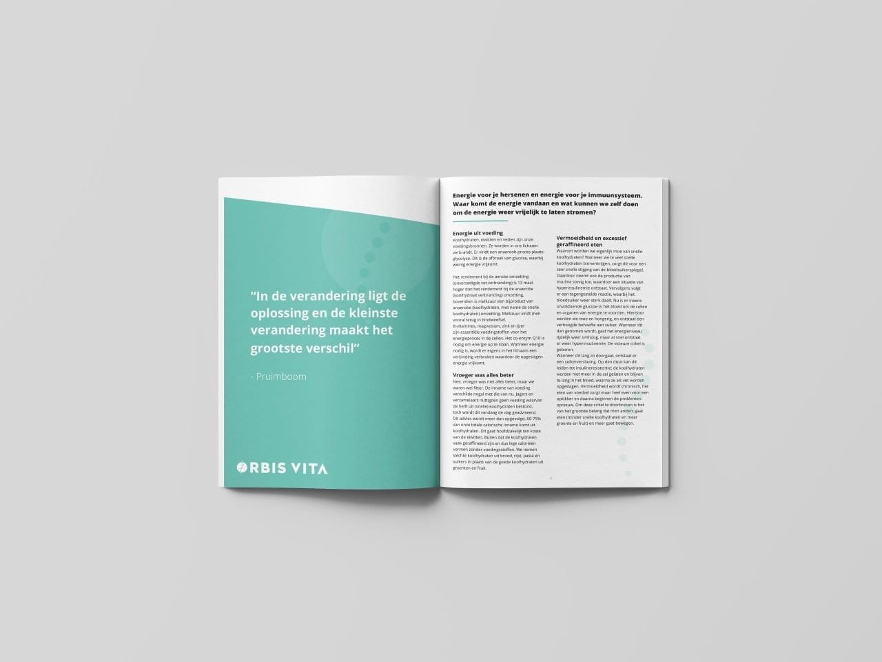 Binnenkant van de Orbis Vita brochure met praktische tips voor een gezonde stofwisseling